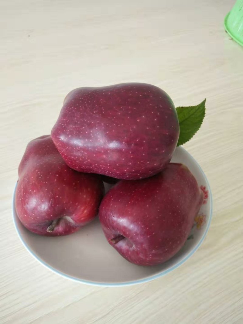 【精品】花牛苹果原产地发货新鲜蛇果价优保质保量