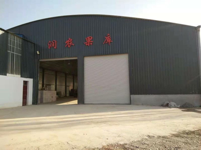 【精品】花牛苹果原产地发货新鲜蛇果价优保质保量