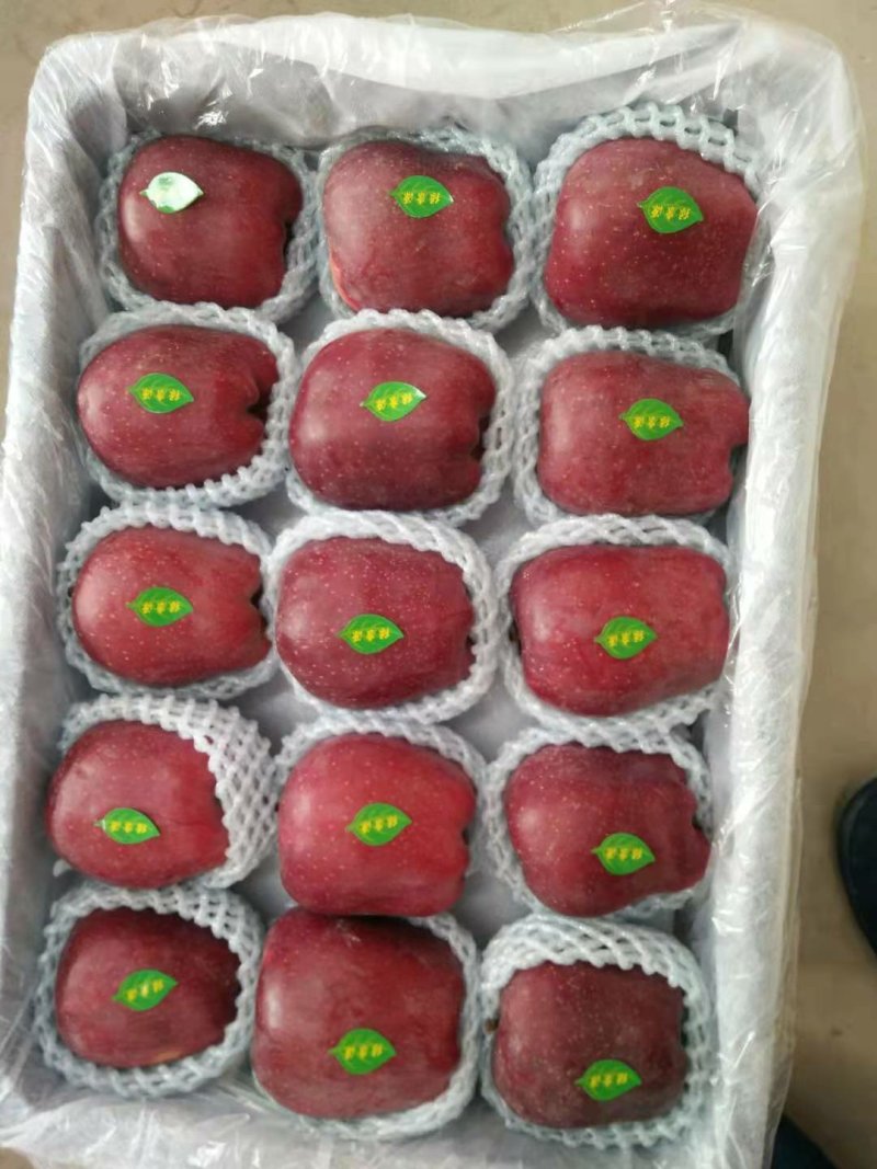 【产地新货】花牛苹果精品花牛原产地发货甘肃天水