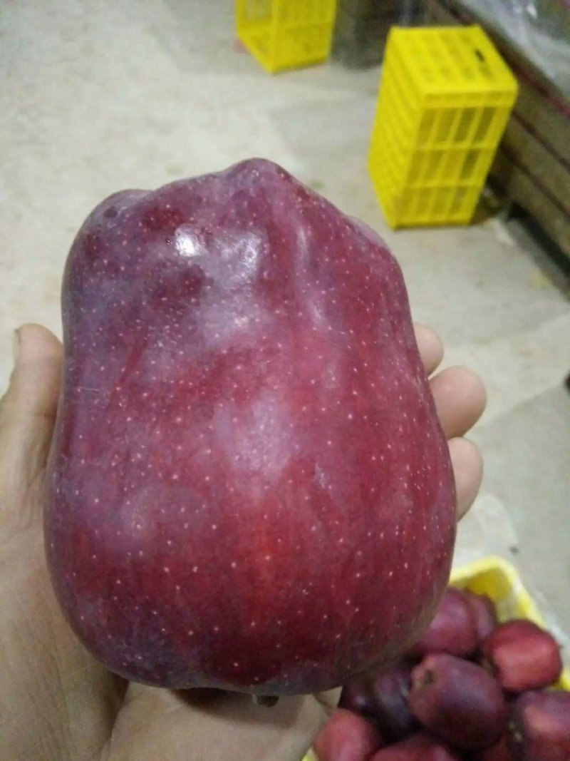 【产地新货】花牛苹果精品花牛原产地发货甘肃天水