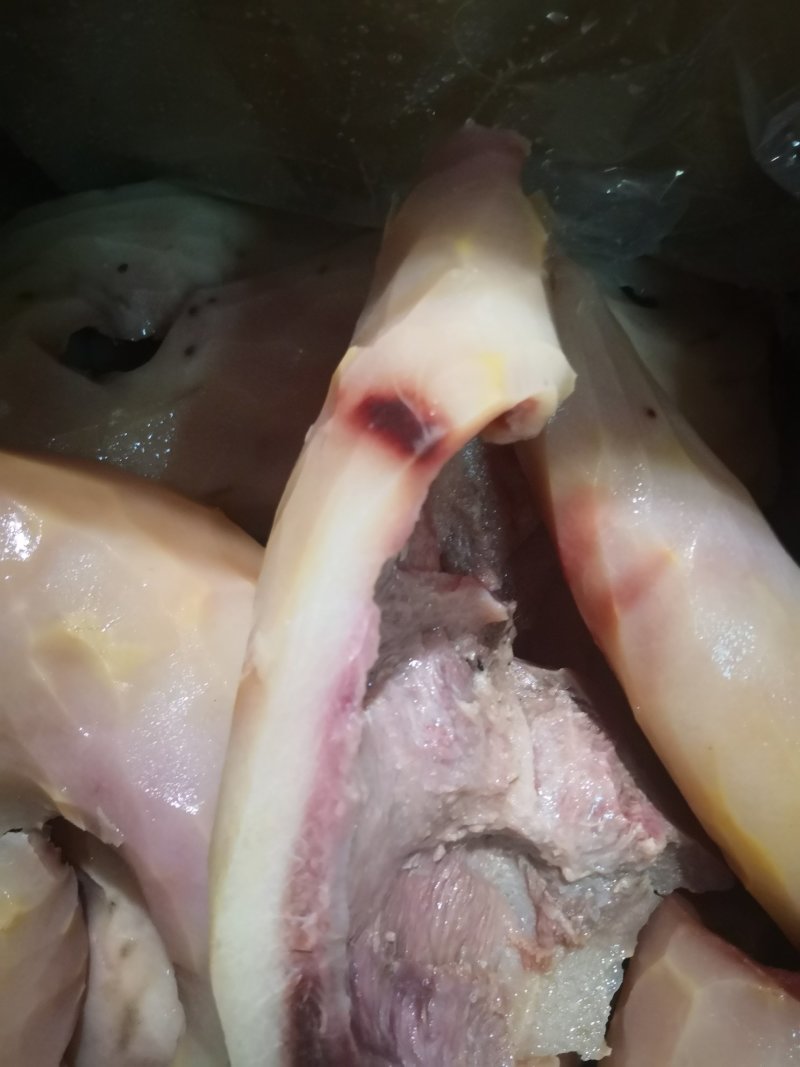 带肉牛头皮半熟刀削清水煮无化学厂家直销