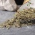 密枝问荆，道地药材，质优价实，品质保证，药典标准一公斤起