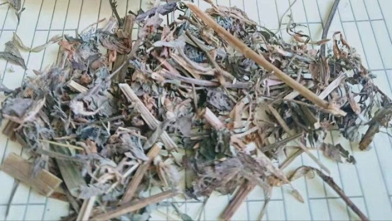 花苜蓿，道地药材，质优价实，品质保证，药典标准一公斤起批