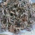 花苜蓿,道地药材,质优价实,品质保证,药典标准一公斤起批