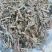 花苜蓿,道地药材,质优价实,品质保证,药典标准一公斤起批