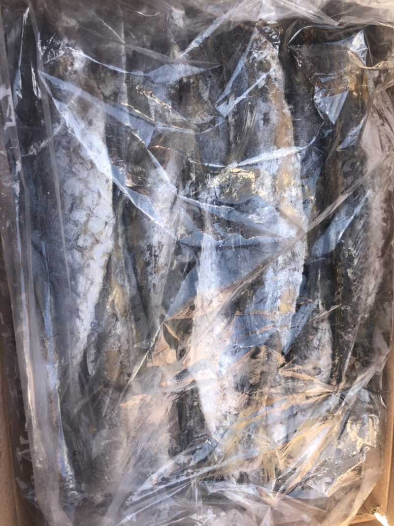 蒸熟熏干鲅鱼干