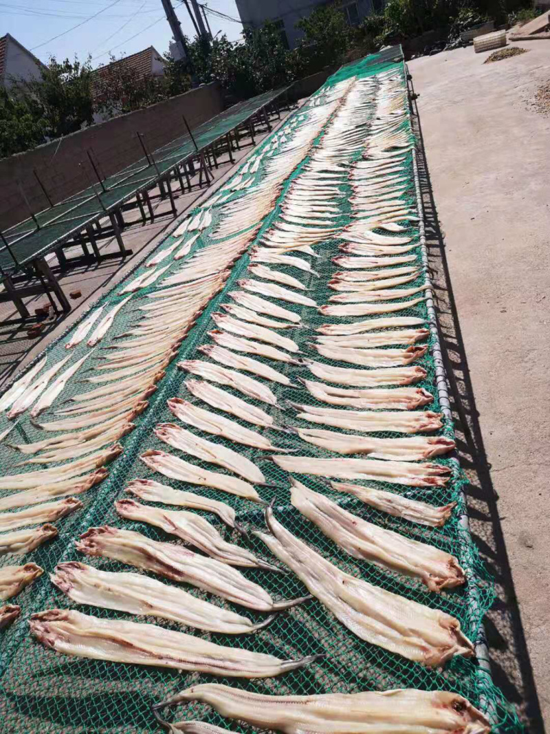 鲅鱼干鳗鱼干