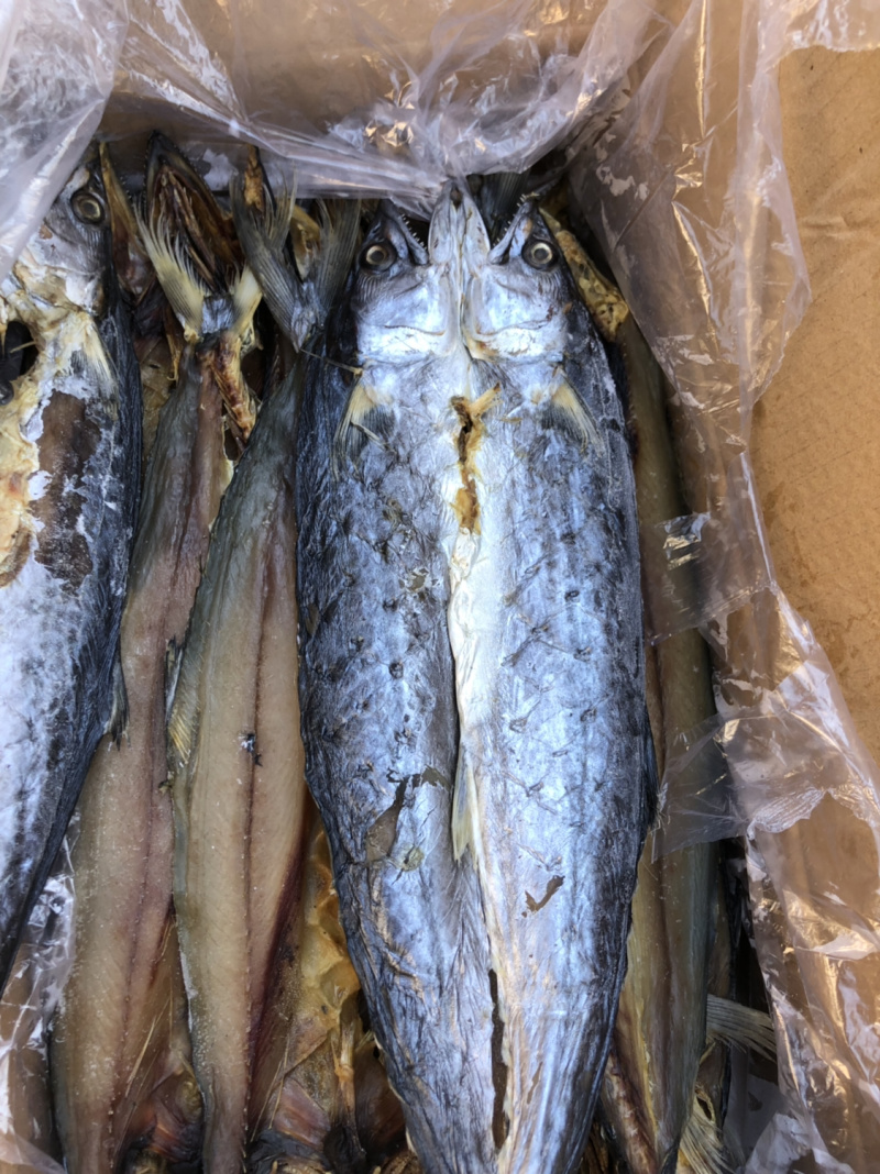 鲅鱼干鳗鱼干