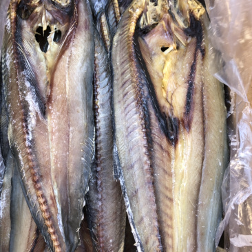 鲅鱼干鳗鱼干