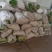 圆椒大量上市处理！价格便宜0.5元适合果蔬烘干