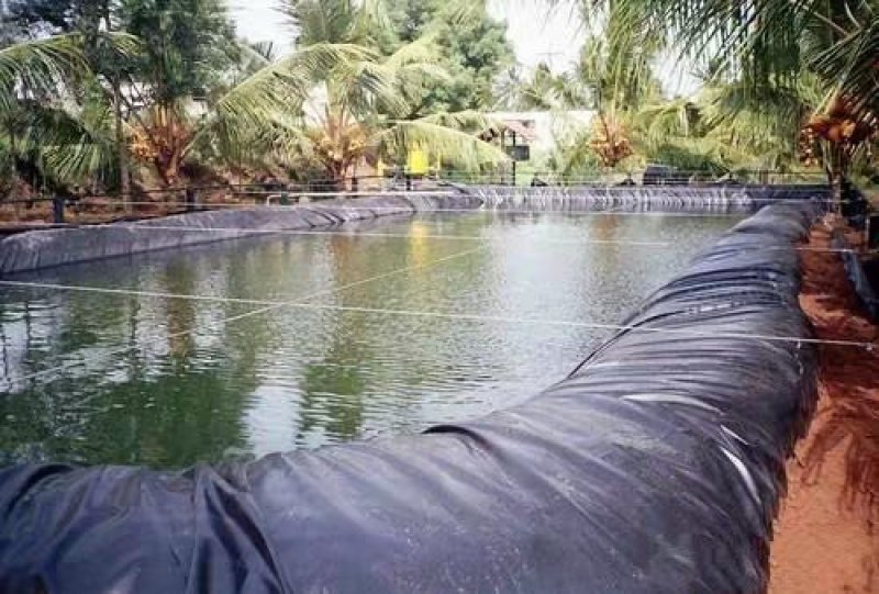 防渗膜黑色防渗膜塑料薄膜养殖膜鱼塘专用膜藕池防水膜