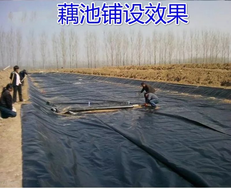 防渗膜黑色防渗膜塑料薄膜养殖膜鱼塘专用膜藕池防水膜