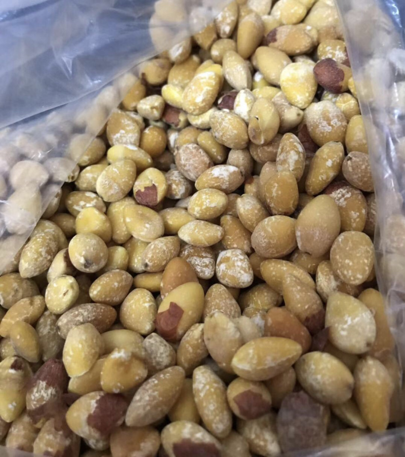 白果生白果熟白果白果仁银杏果