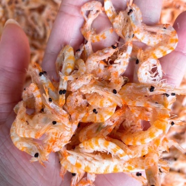 磷虾干