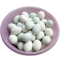 【大个鸭蛋】新鲜绿壳生鸭蛋65-80g农家放养青壳鸭蛋4
