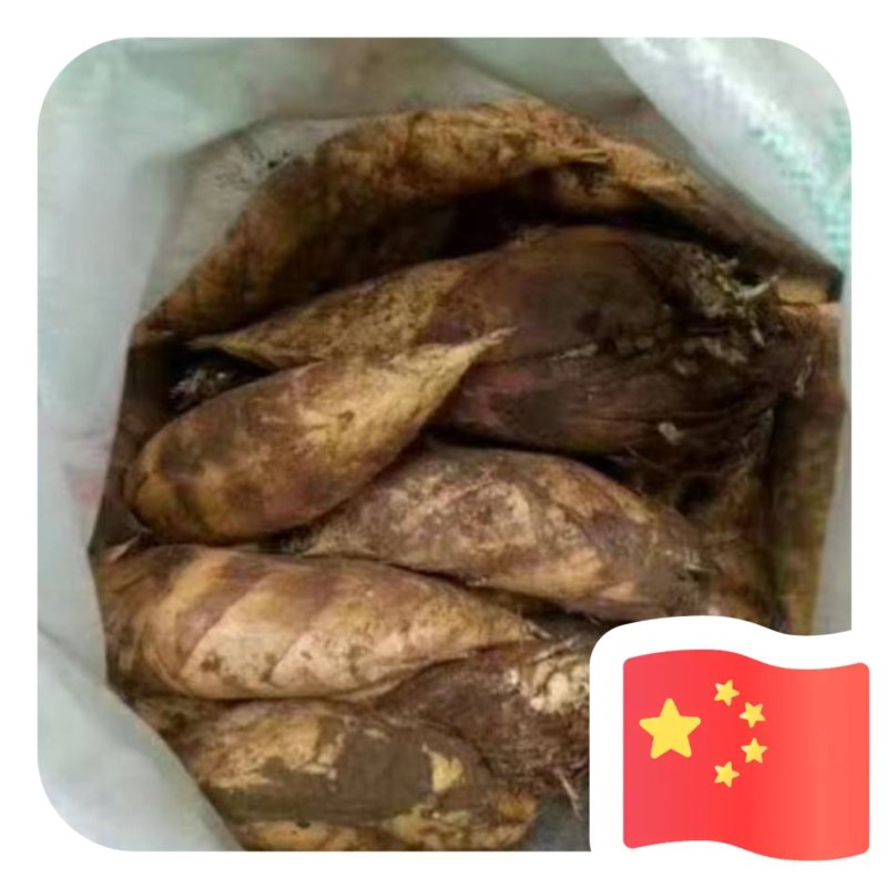 新鲜冬笋丶大量上市丶欢迎合作。