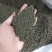 小花吴茱萸振兴药材批发供应吴茱萸保质保量常年供应诚信