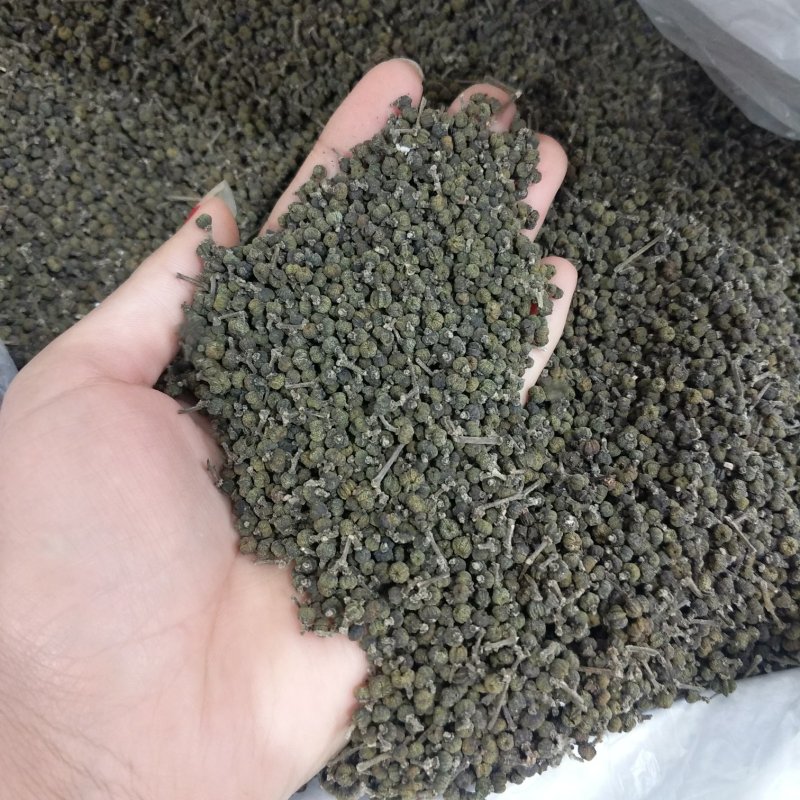 小花吴茱萸振兴药材批发供应吴茱萸保质保量常年供应诚信
