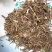 苦荬菜，道地药材，质优价实，品质保证，药典标准一公斤起批