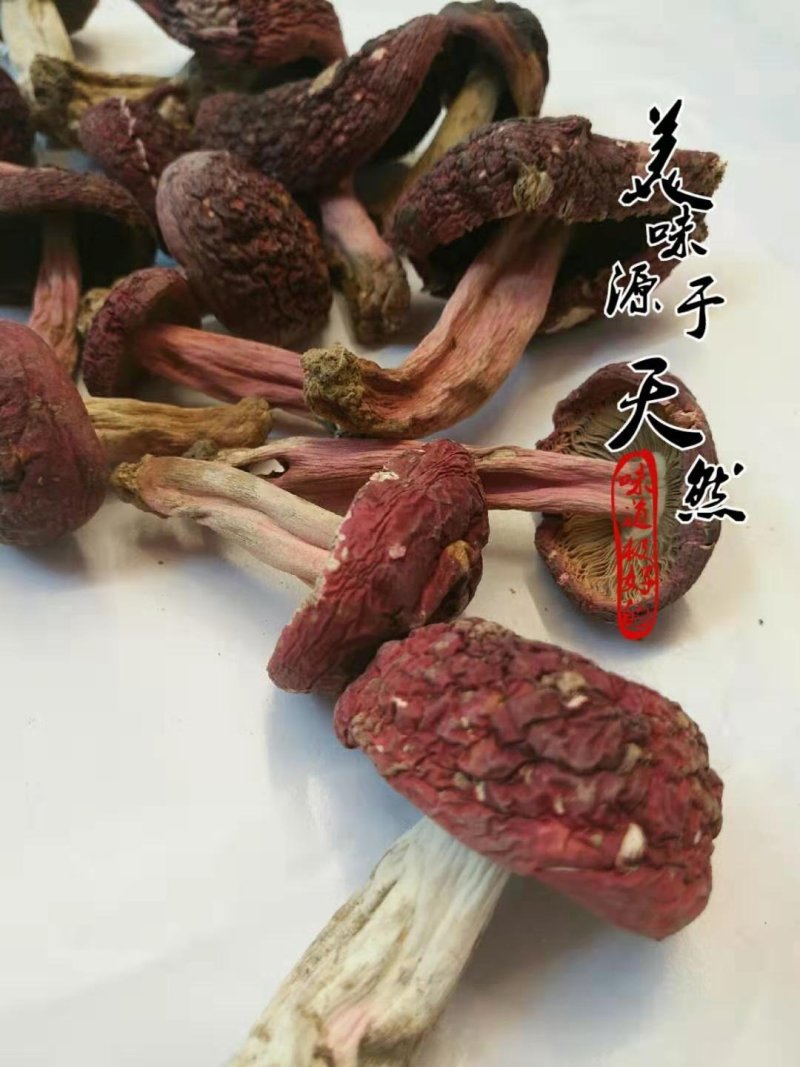 味食膳福建正红菇云南红菇二红散装预包装礼盒包装