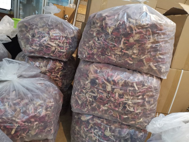 味食膳福建正红菇云南红菇二红散装预包装礼盒包装