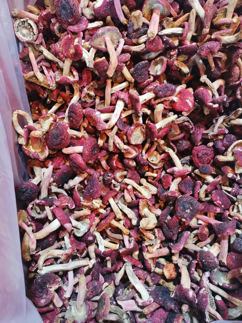 味食膳福建正红菇云南红菇二红散装预包装礼盒包装