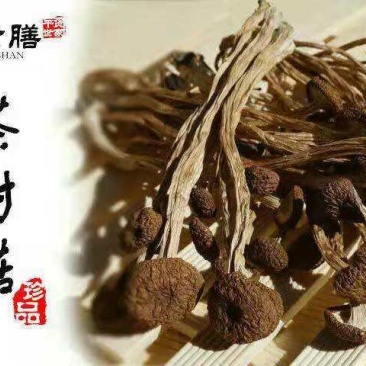 味食膳茶树菇无硫