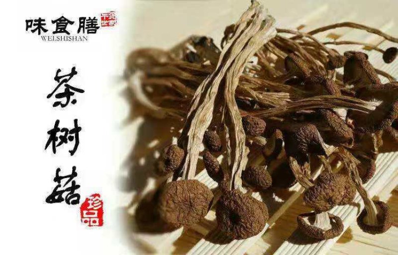 味食膳茶树菇无硫