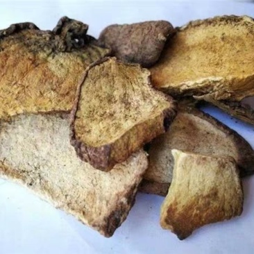 地不容,产地广西,道地药材,质优价实,品质保证,药典标准