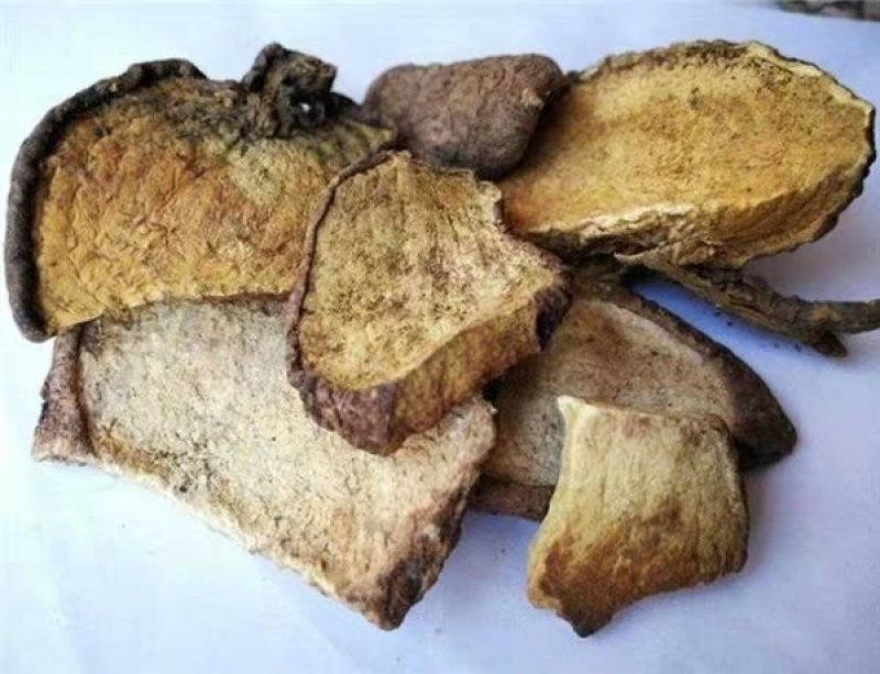 地不容，产地广西，道地药材，质优价实，品质保证，药典标准