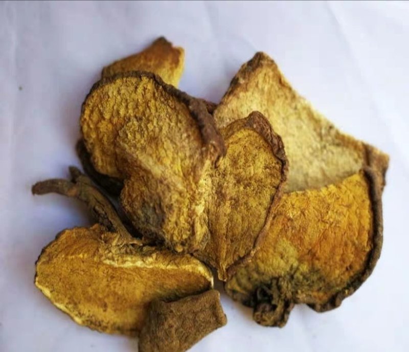 地不容，产地广西，道地药材，质优价实，品质保证，药典标准