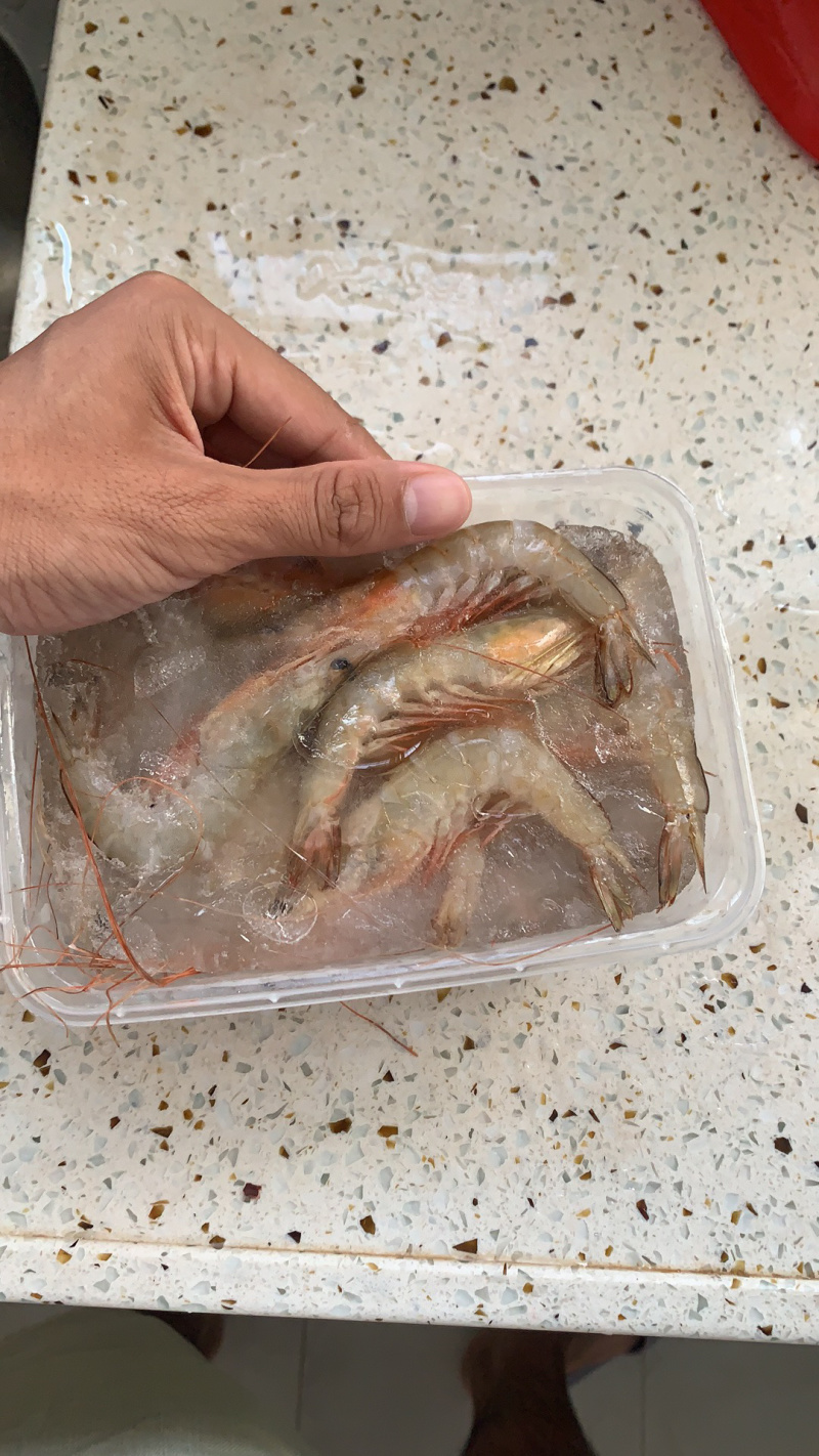 海捕杂虾