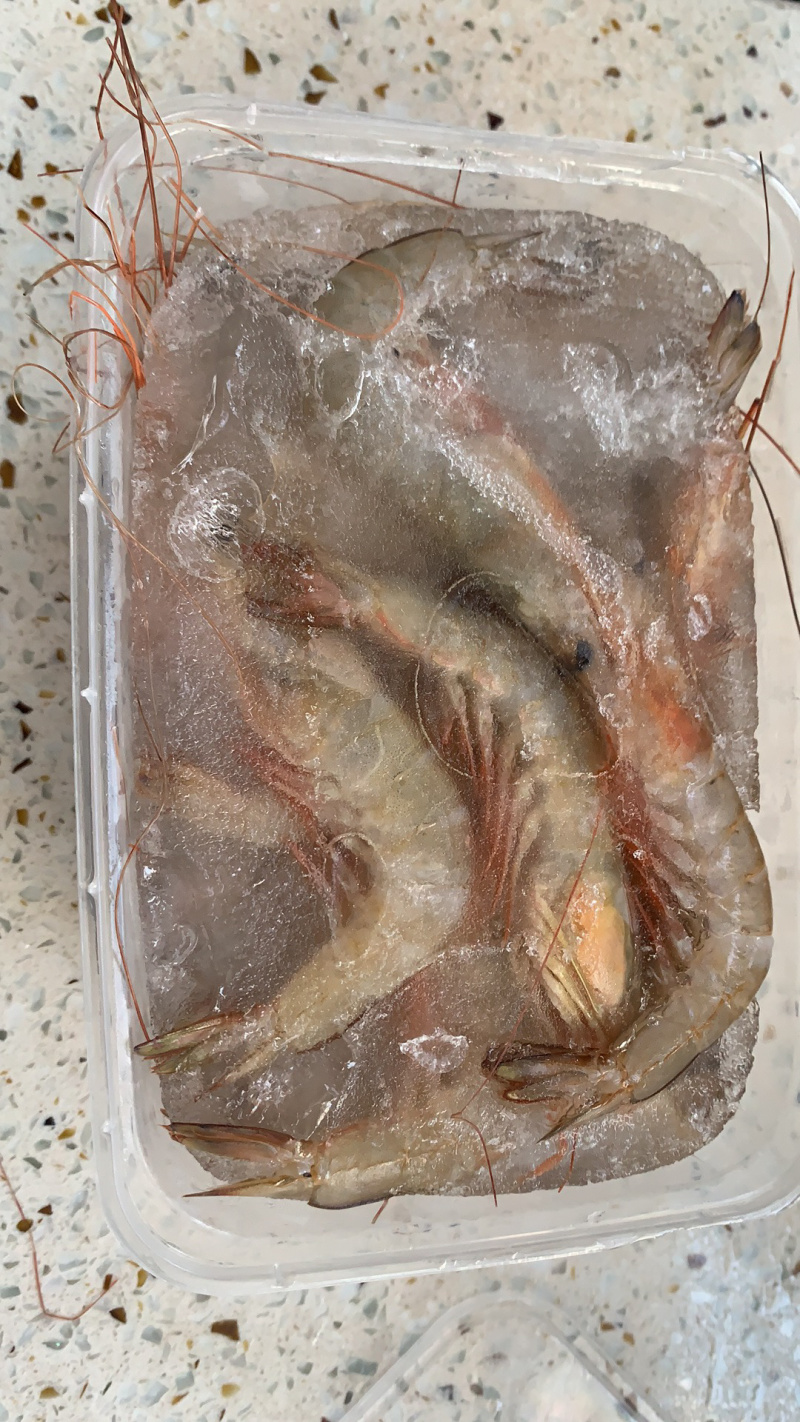 海捕杂虾