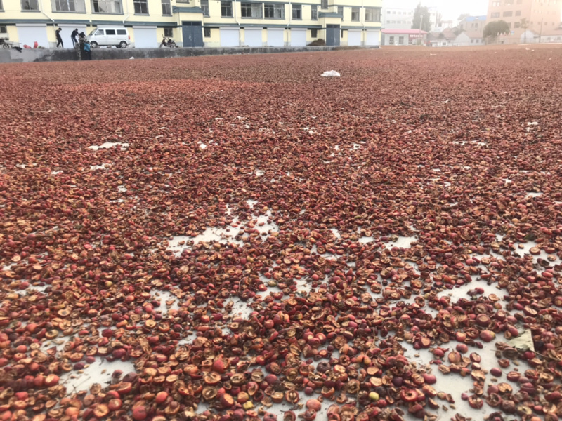 【有好货】山楂干片产新货源直销无硫熏可食用标准