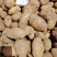 精品土豆陇七土豆量大从优质量保证量大从优欢迎咨询