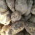 精品土豆陇七土豆量大从优质量保证量大从优欢迎咨询