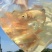 金鳙鱼苗