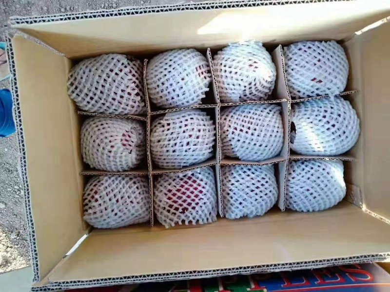 甘肃花牛苹果
