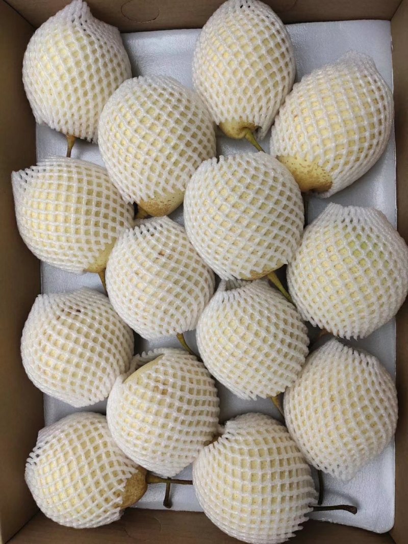 冠洲鸭梨