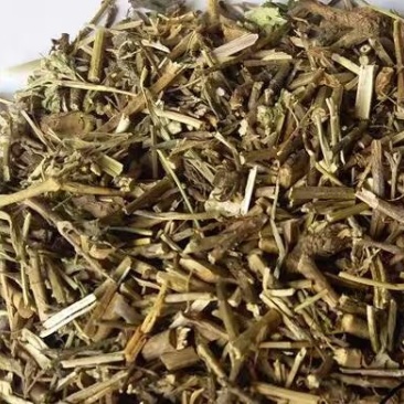 牛至。道地药材,质优价实,品质保证,药典标准一公斤起批
