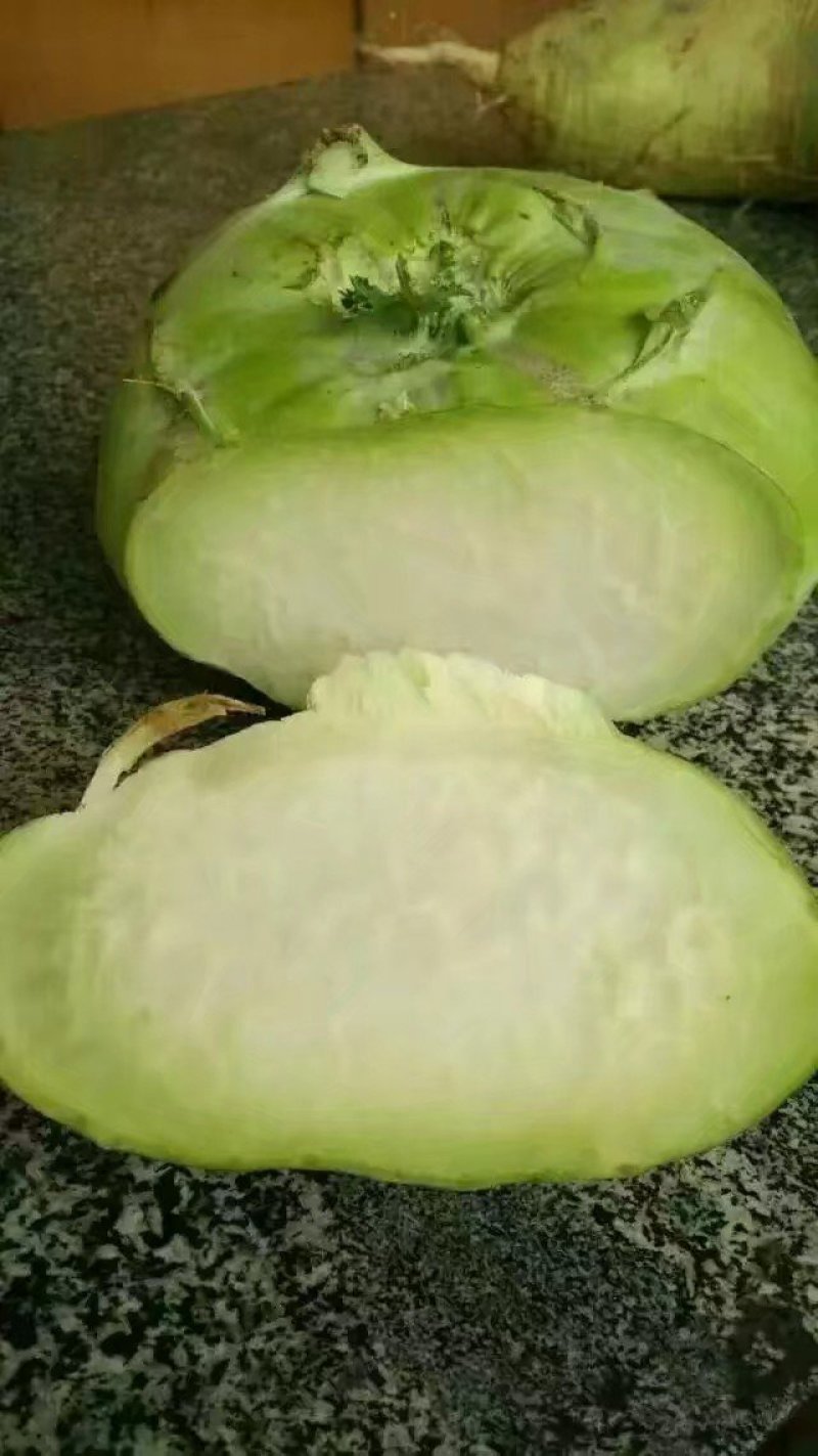 苤蓝疙瘩，皮兰疙瘩，丕蓝大量供应酱菜厂，市场