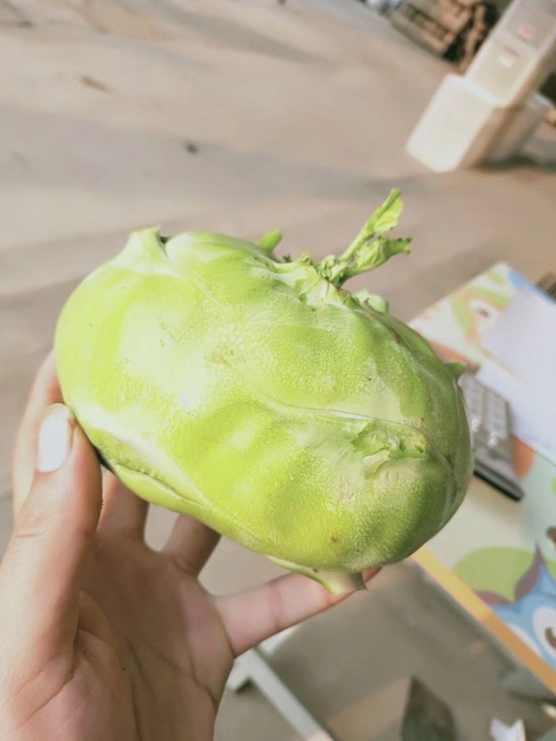 苤蓝疙瘩，皮兰疙瘩，丕蓝大量供应酱菜厂，市场