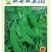 双喜双荚212白花荷兰豆早熟丰产商品性好