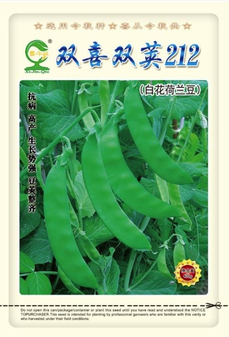 双喜双荚212白花荷兰豆早熟丰产商品性好