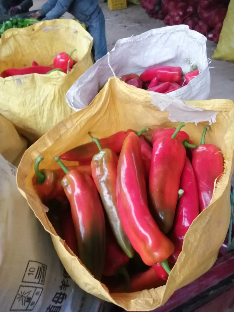 酱辣椒，无腐烂，无黑点，质量好