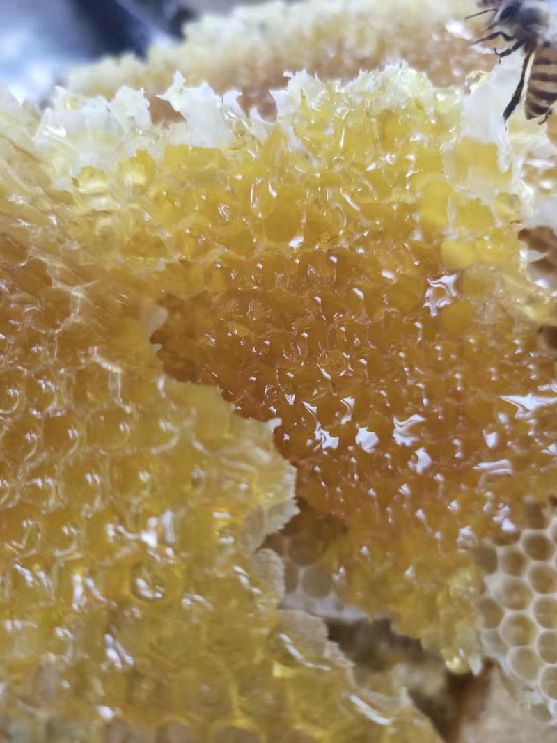 纯天然野生百花蜂蜜