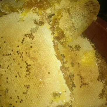 纯天然野生百花蜂蜜