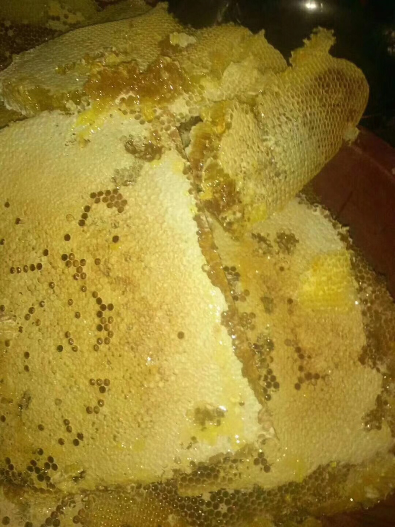 纯天然野生百花蜂蜜