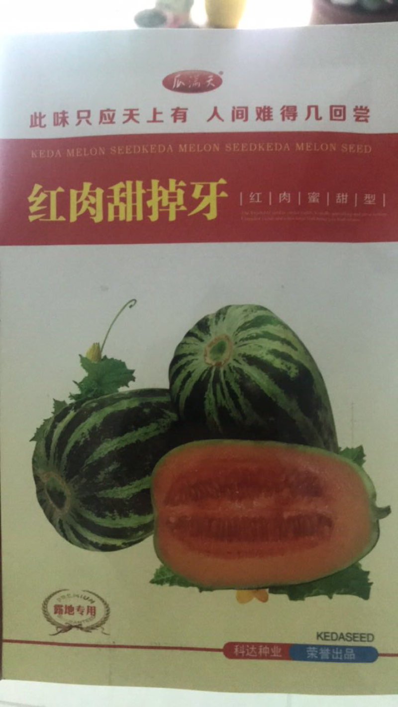 甜瓜种子组合各类好吃的甜瓜种子