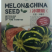 甜瓜种子组合各类好吃的甜瓜种子